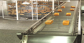 第四步：醒发——职业沉淀